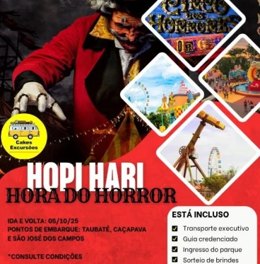 Imagem Excursão Hopi Hari 